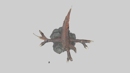 Dragon Claw model 3D model