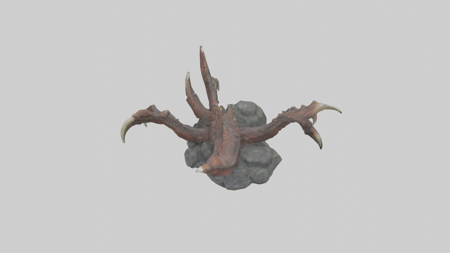 Dragon Claw model 3D model