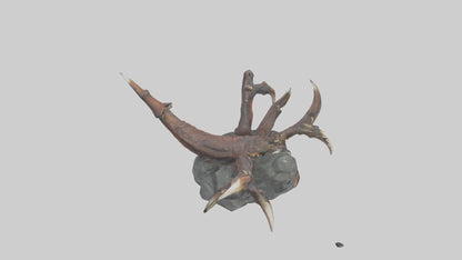 Dragon Claw model 3D model