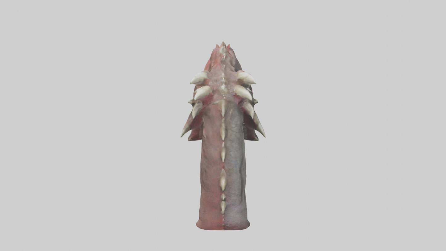 3D model Dragon Teeth model VR / AR / low-poly