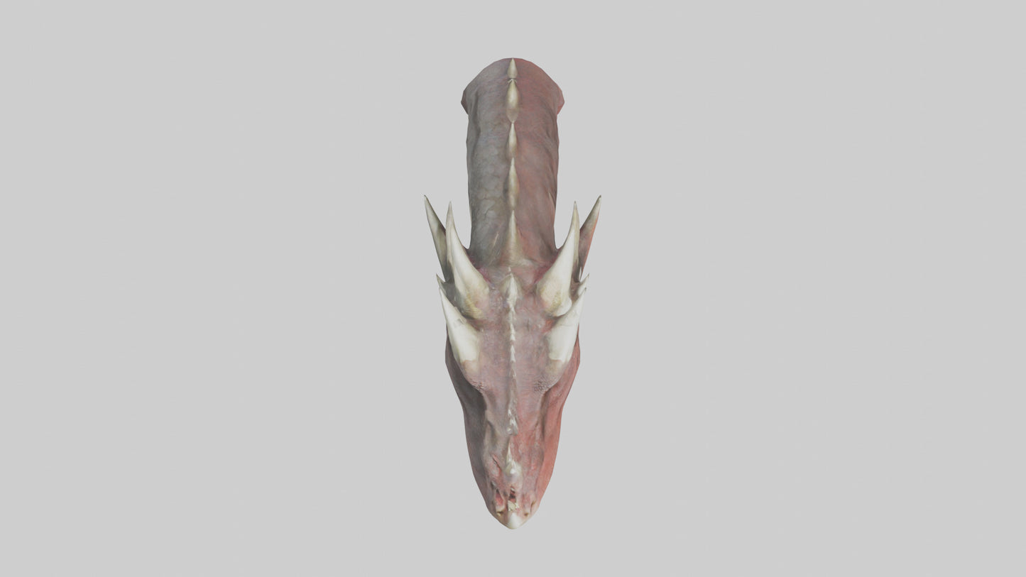 3D model Dragon Teeth model VR / AR / low-poly