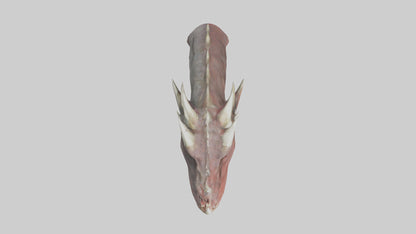 3D model Dragon Teeth model VR / AR / low-poly