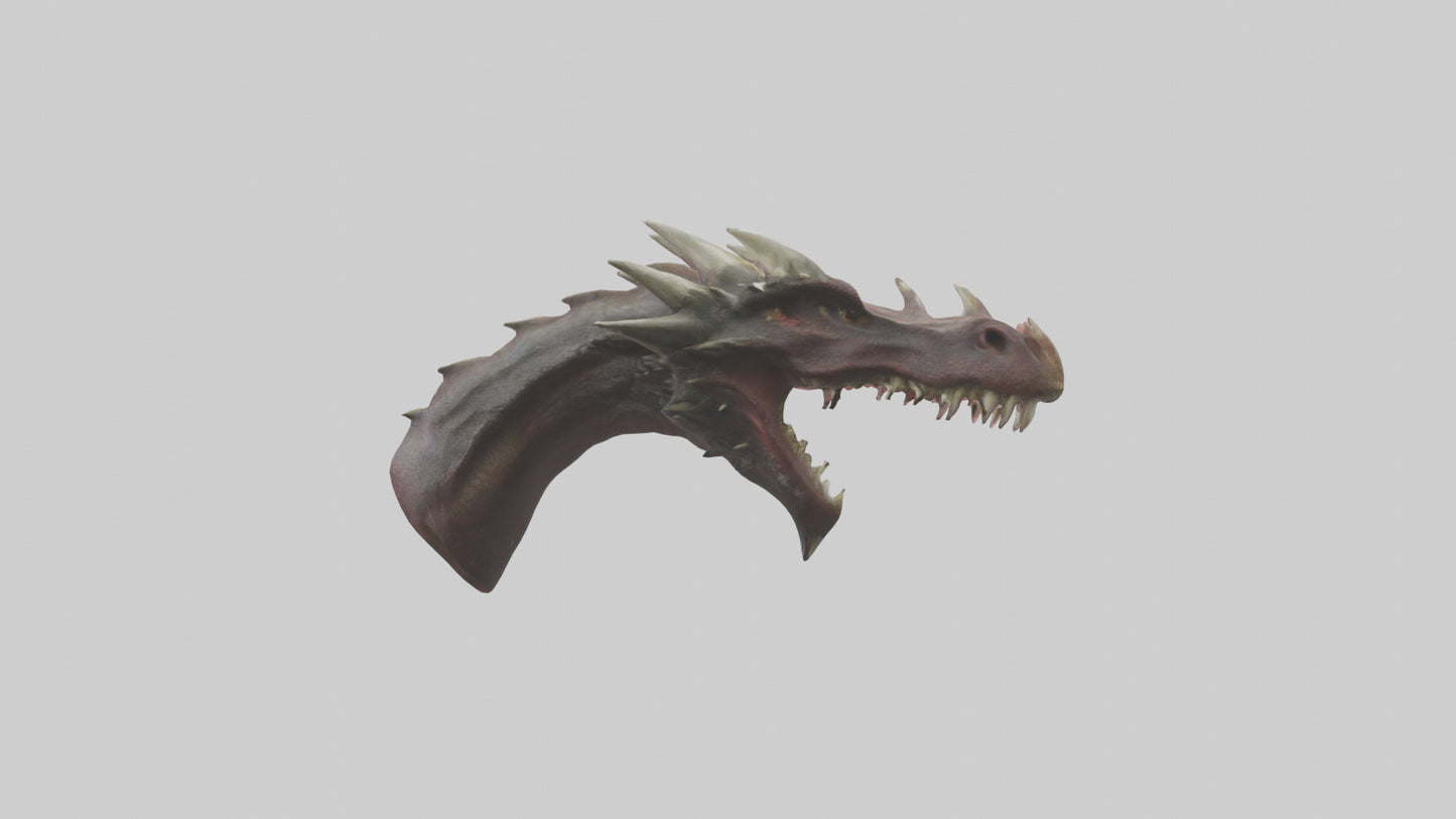 3D model Dragon Teeth model VR / AR / low-poly