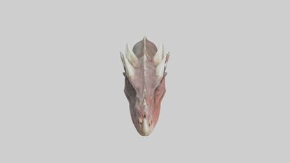 3D model Dragon Teeth model VR / AR / low-poly