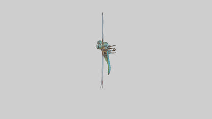 Dragonfly Body 3D model