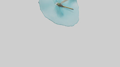 Dragonfly hovering over water model 3D model