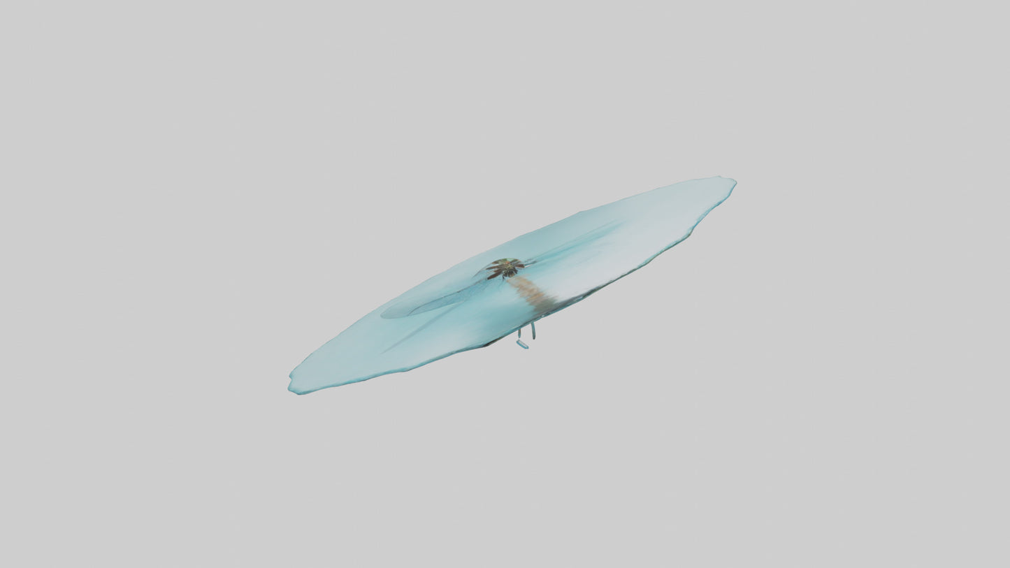 Dragonfly hovering over water model 3D model