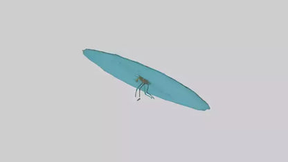 Dragonfly hovering over water model 3D model