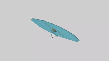Dragonfly hovering over water model 3D model