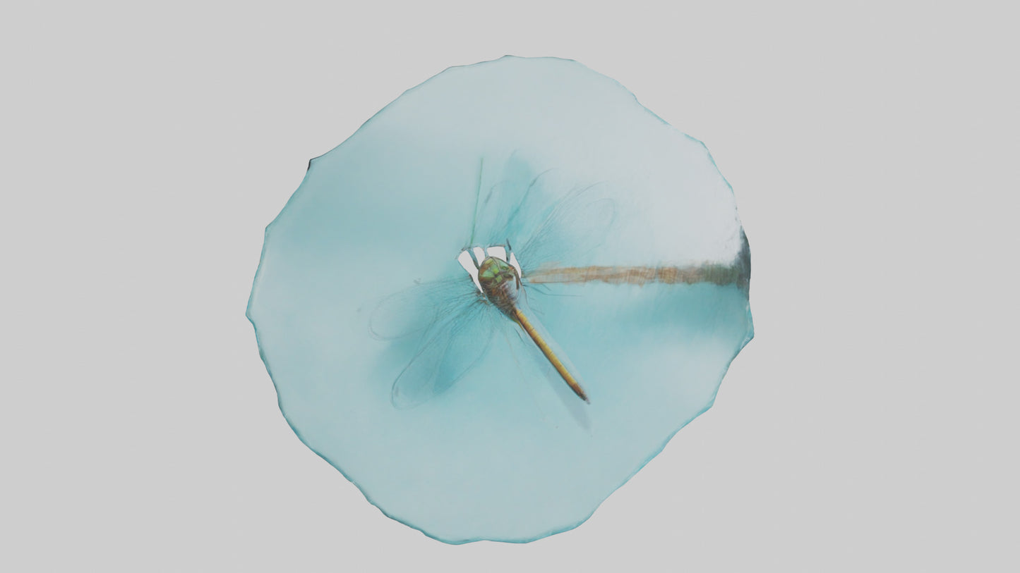 Dragonfly hovering over water model 3D model