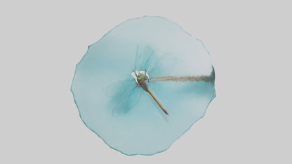 Dragonfly hovering over water model 3D model