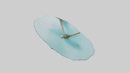 Dragonfly hovering over water model 3D model