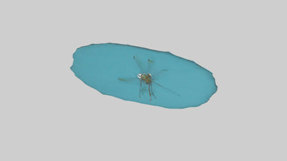 Dragonfly hovering over water model 3D model