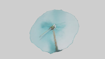 Dragonfly hovering over water model 3D model