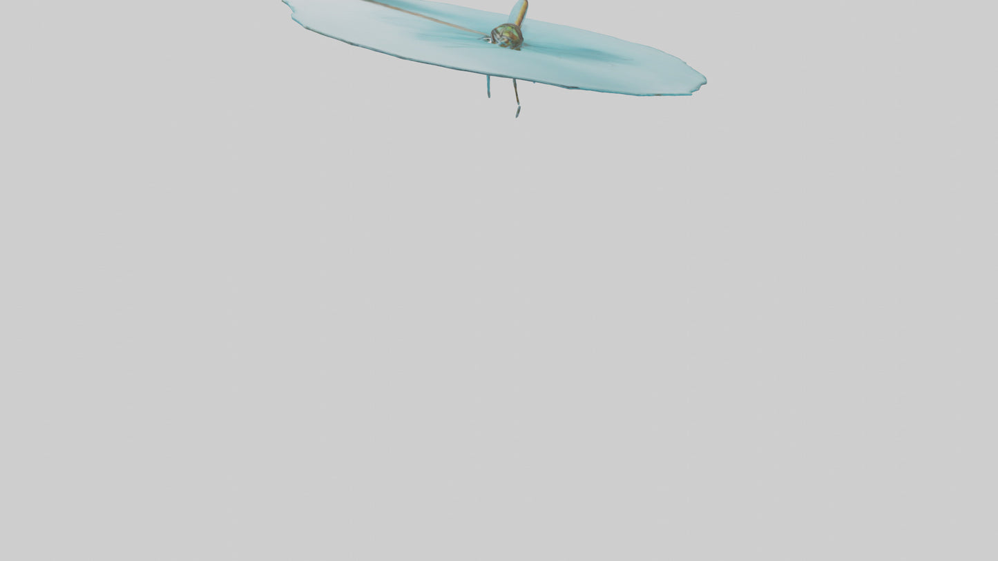 Dragonfly hovering over water model 3D model