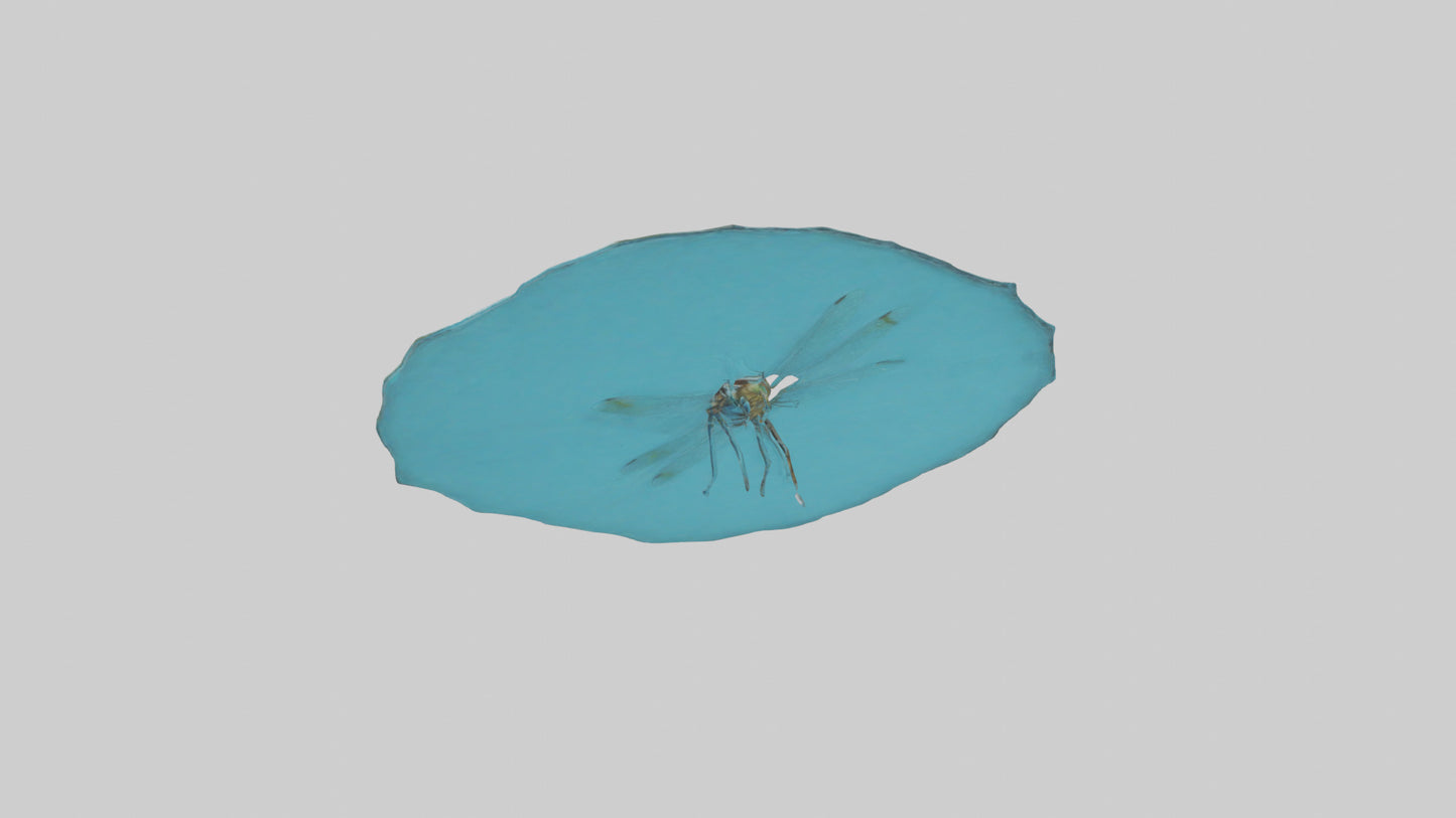 Dragonfly hovering over water model 3D model