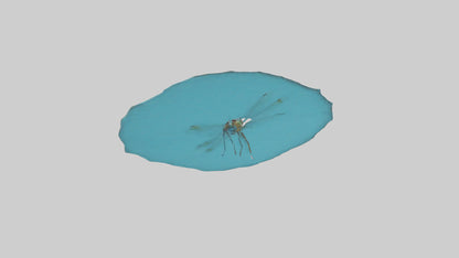 Dragonfly hovering over water model 3D model