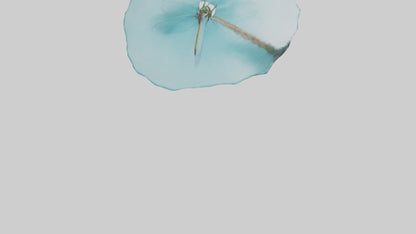 Dragonfly hovering over water model 3D model