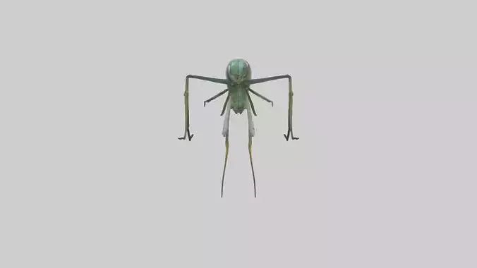 Dragonfly Legs Model 3D model