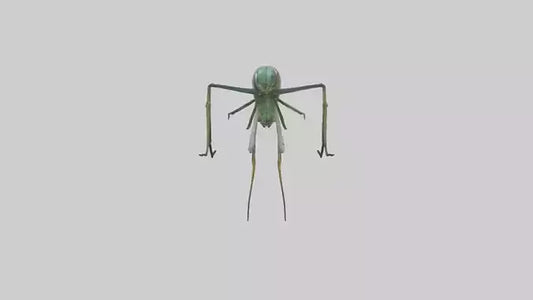 Dragonfly Legs Model 3D model