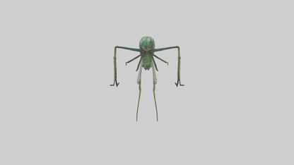 Dragonfly Legs Model 3D model