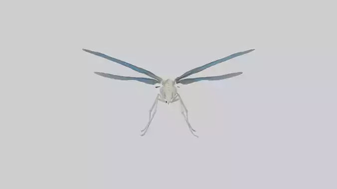 Dragonfly Skeleton model 3D model