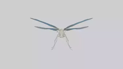 Dragonfly Skeleton model 3D model