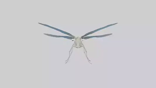 Dragonfly Skeleton model 3D model