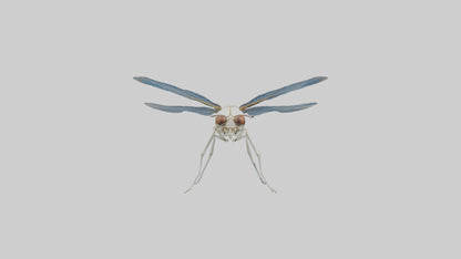 Dragonfly Skeleton model 3D model