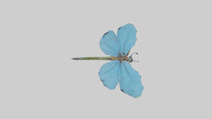 Dragonfly Wings 3D model
