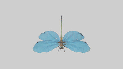Dragonfly Wings 3D model