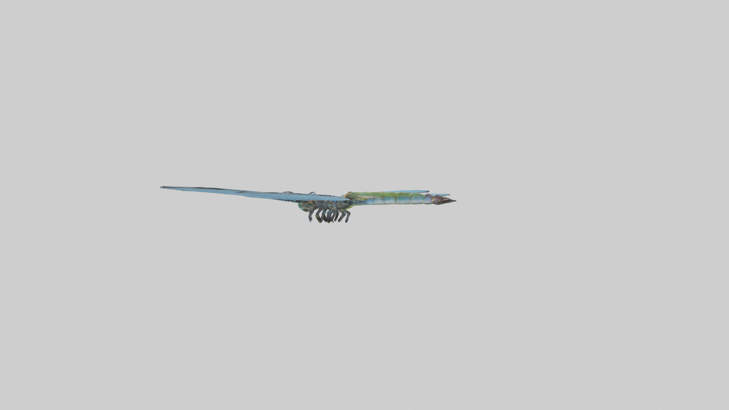 Dragonfly Wings 3D model