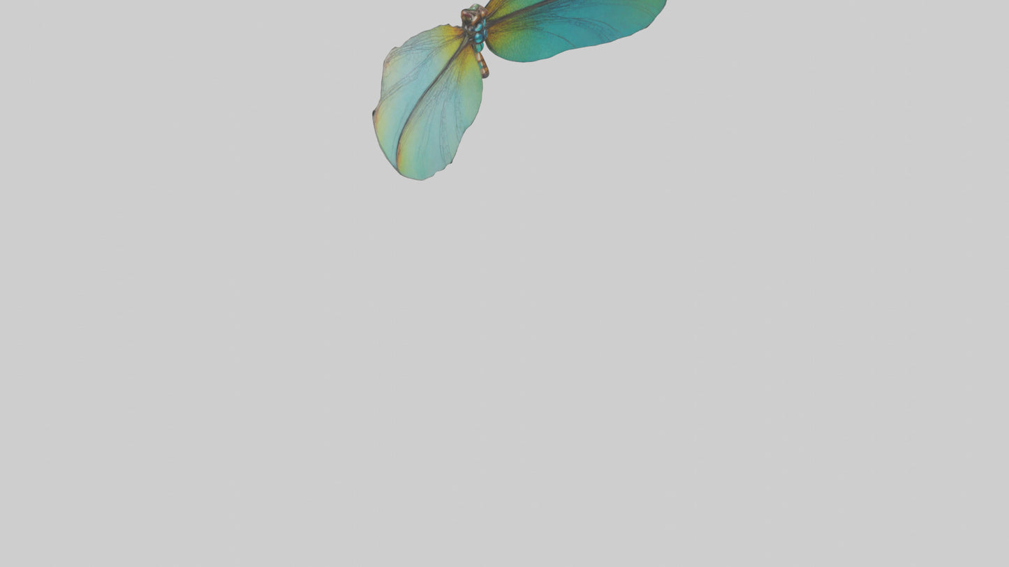 3D model Dragonfly Wings Model VR / AR / low-poly