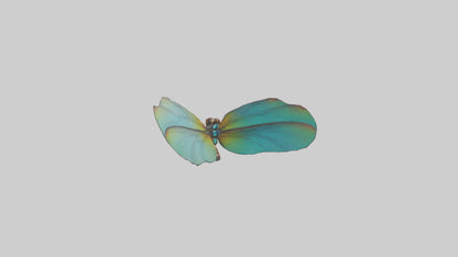 3D model Dragonfly Wings Model VR / AR / low-poly