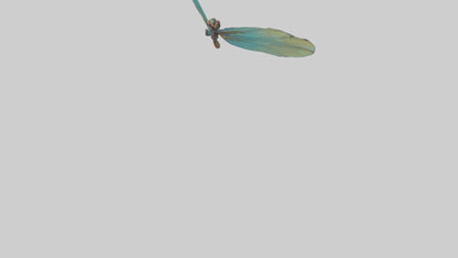 3D model Dragonfly Wings Model VR / AR / low-poly