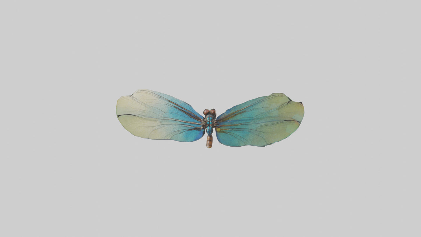 3D model Dragonfly Wings Model VR / AR / low-poly