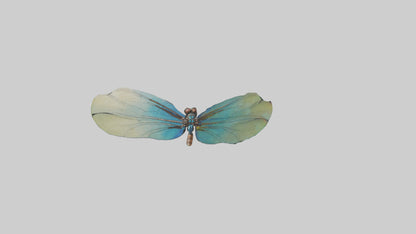 3D model Dragonfly Wings Model VR / AR / low-poly