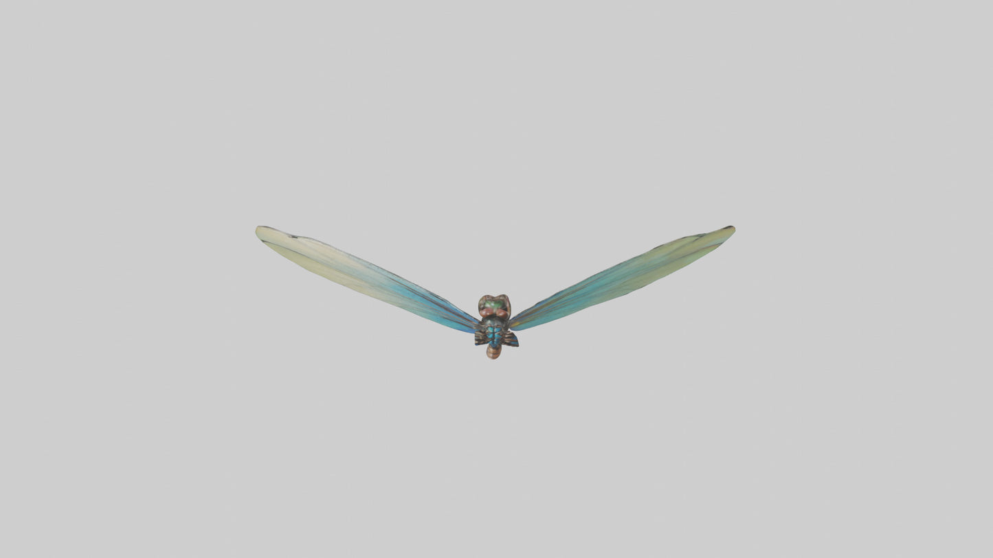 3D model Dragonfly Wings Model VR / AR / low-poly