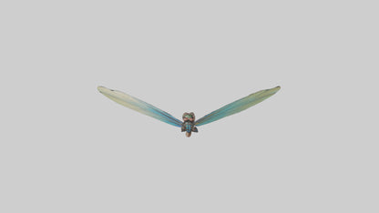 3D model Dragonfly Wings Model VR / AR / low-poly