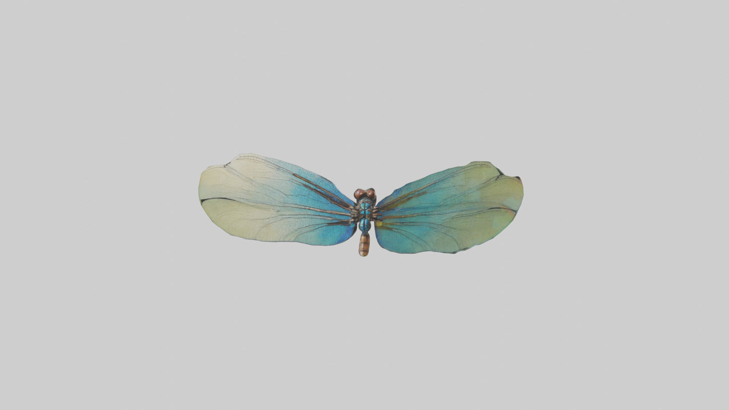 3D model Dragonfly Wings Model VR / AR / low-poly