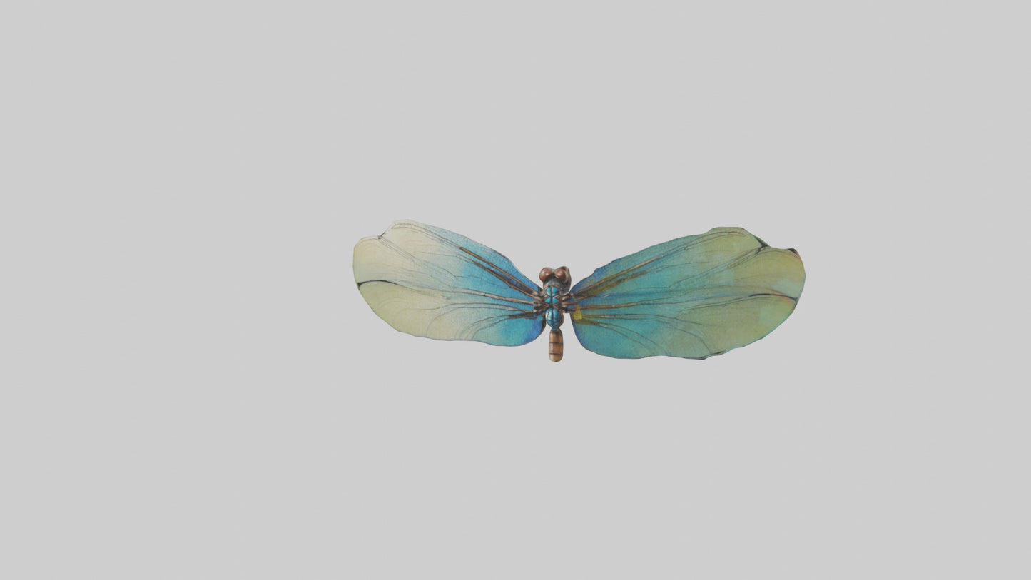 3D model Dragonfly Wings Model VR / AR / low-poly