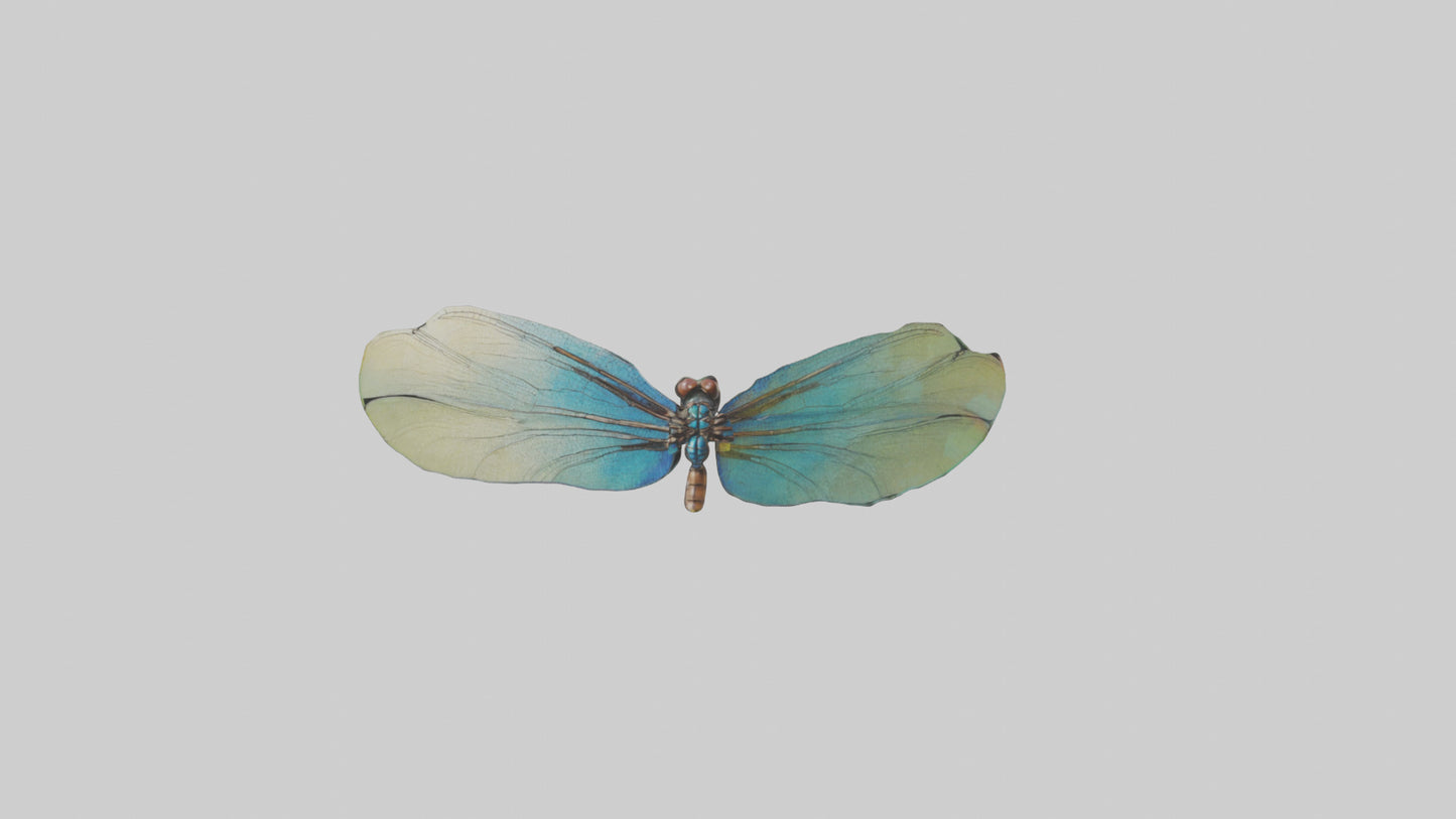 3D model Dragonfly Wings Model VR / AR / low-poly