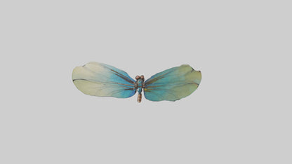 3D model Dragonfly Wings Model VR / AR / low-poly