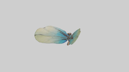 3D model Dragonfly Wings Model VR / AR / low-poly
