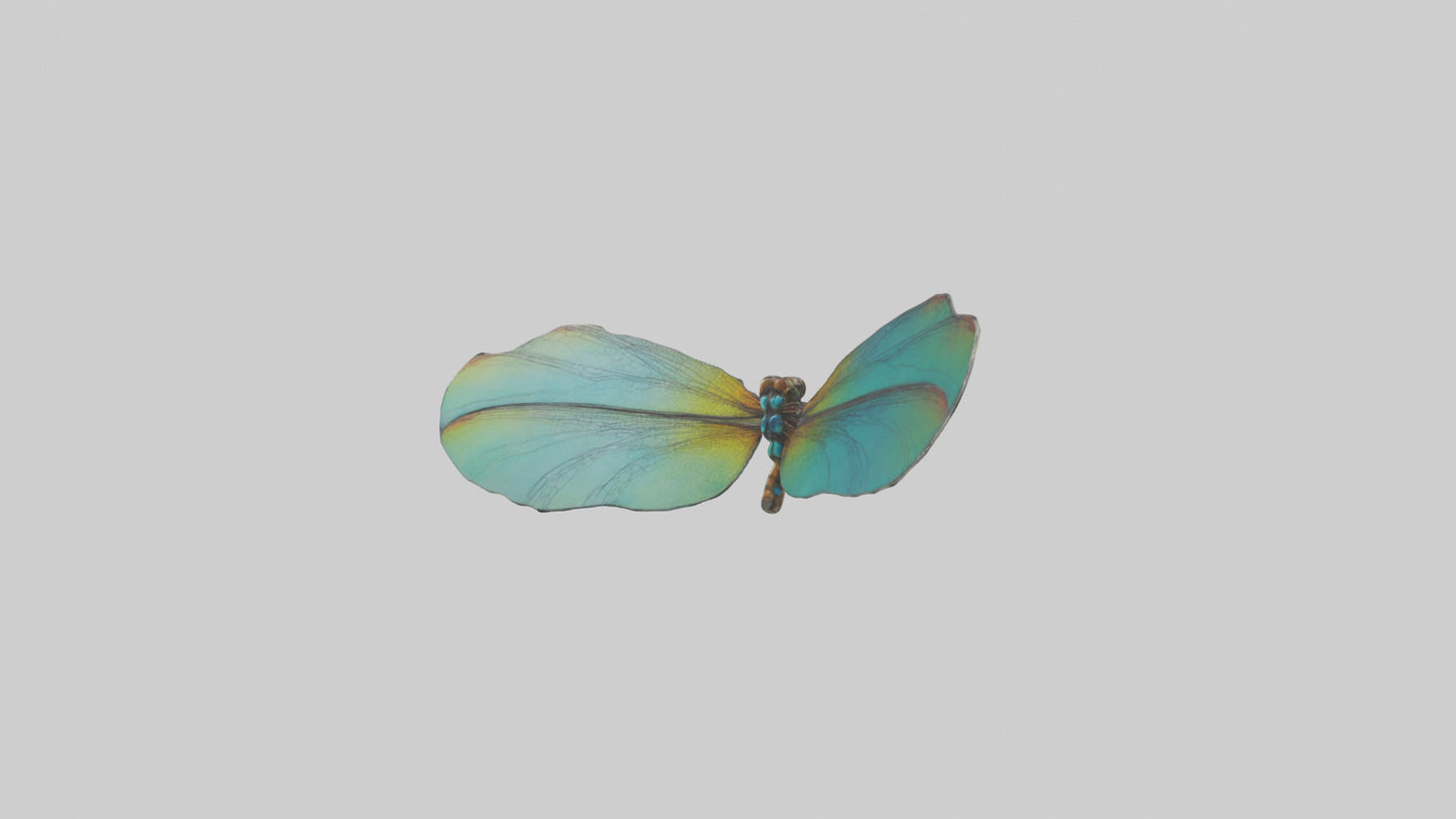 3D model Dragonfly Wings Model VR / AR / low-poly