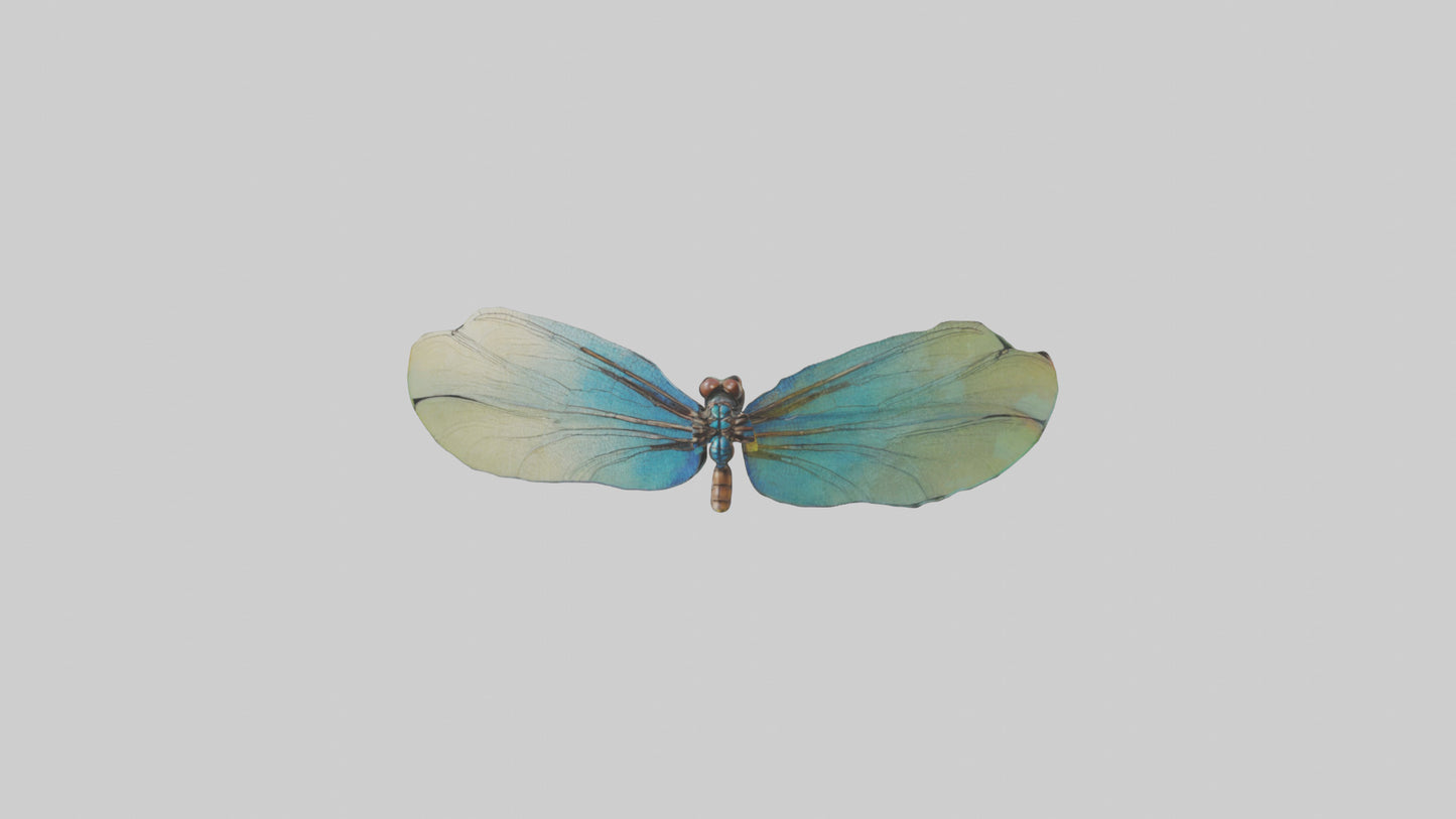 3D model Dragonfly Wings Model VR / AR / low-poly