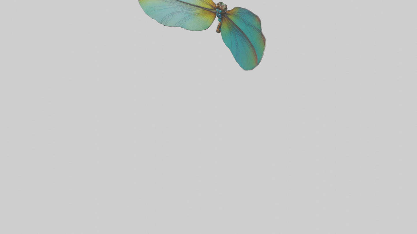 3D model Dragonfly Wings Model VR / AR / low-poly
