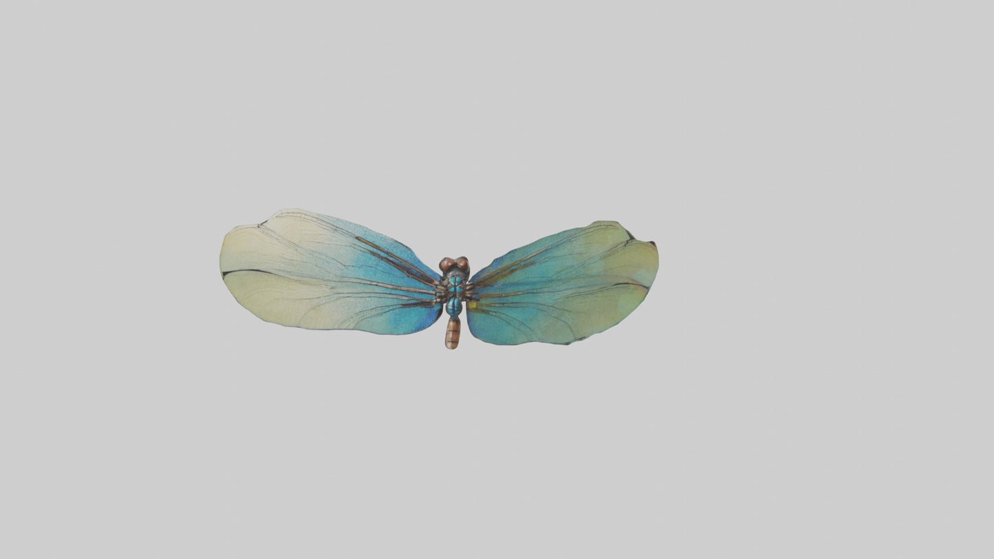 3D model Dragonfly Wings Model VR / AR / low-poly