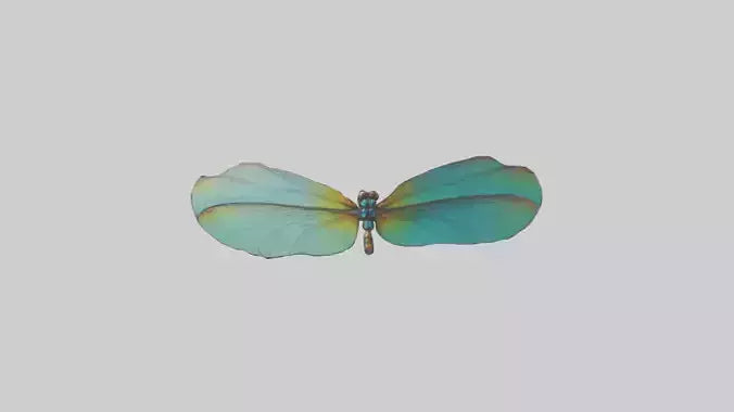3D model Dragonfly Wings Model VR / AR / low-poly