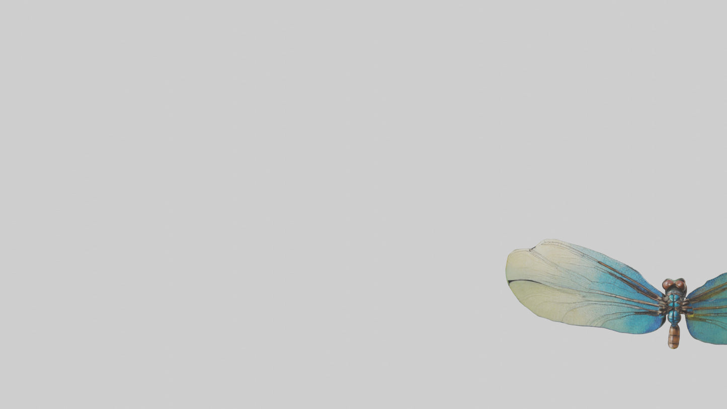 3D model Dragonfly Wings Model VR / AR / low-poly